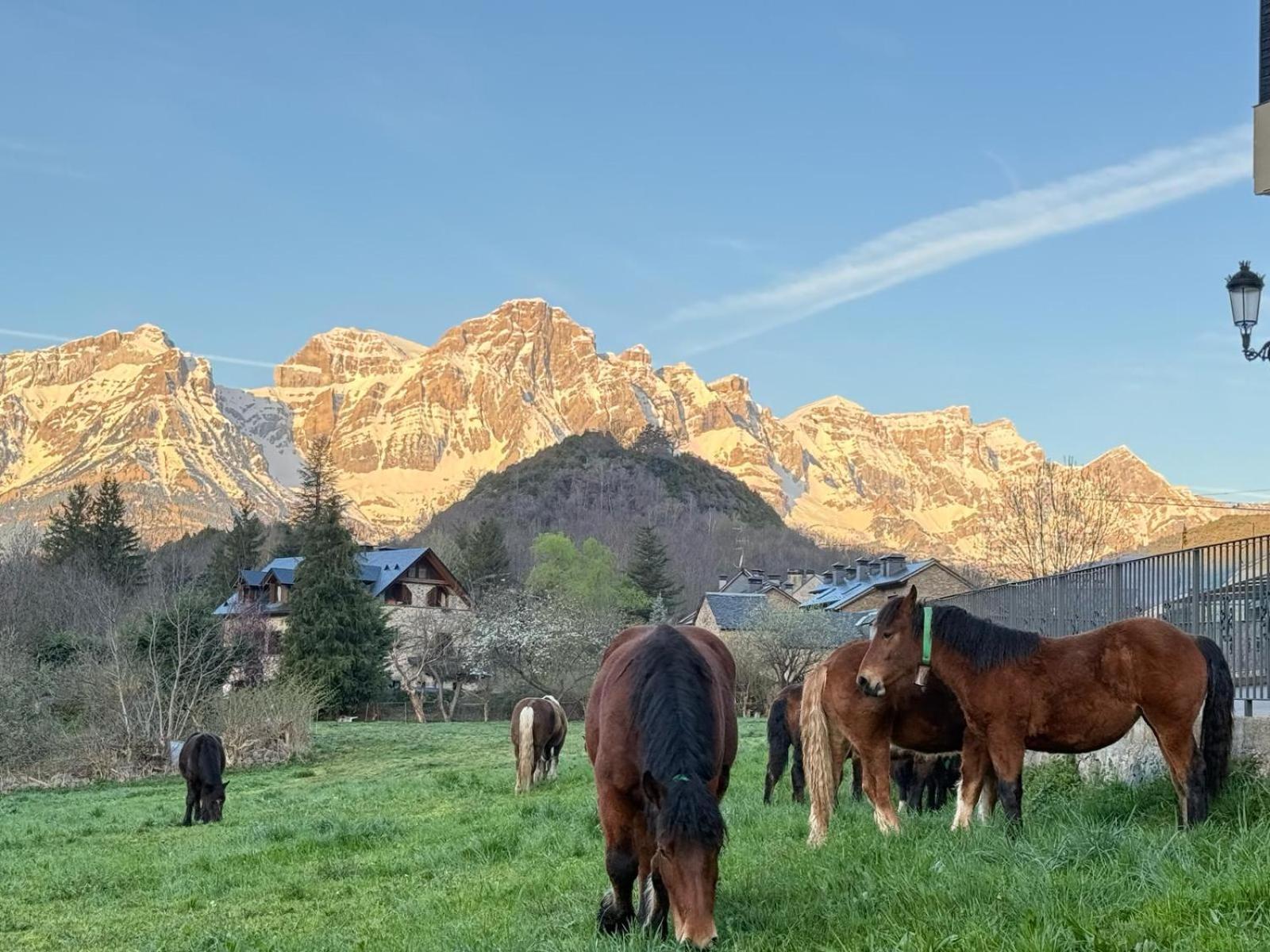 Casa Moncho Leilighet Panticosa Eksteriør bilde